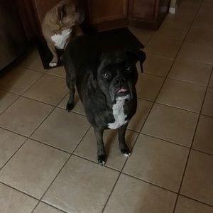 Meet your Posher, Natalie